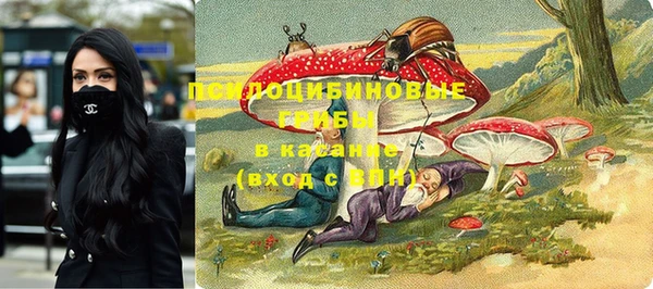 СК Алексин