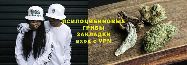 СК Алексин