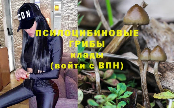 mdpv Алзамай