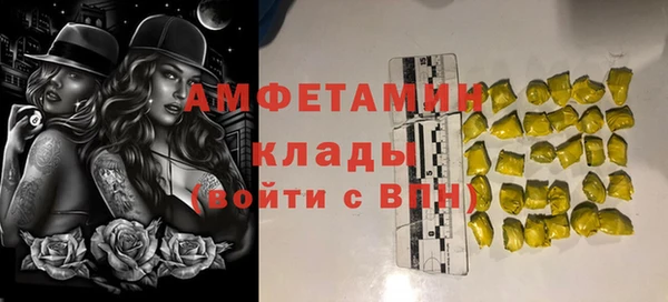 СК Алексин